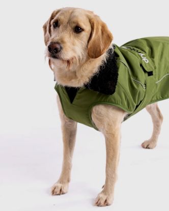 Picture of dryrobe® Dog - Dark Green Black